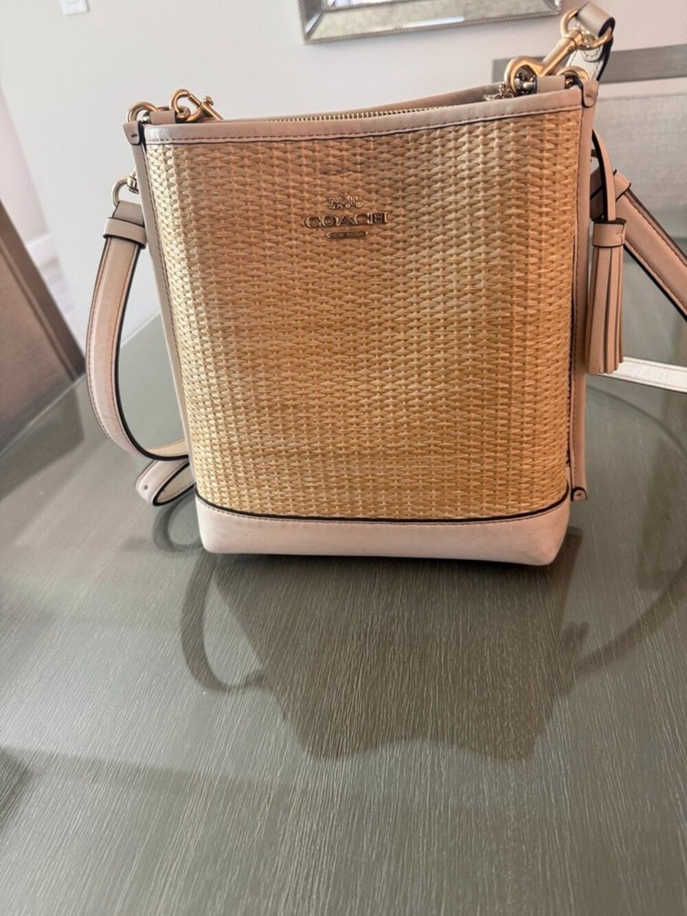 Coach Bucket Bag Straw